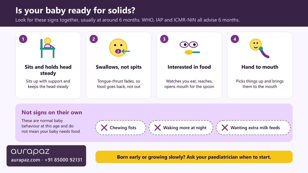 Explainer graphic of four signs a baby is ready for solid food at around six months: sits with support and holds the head steady, swallows instead of pushing food out as the tongue-thrust reflex fades, shows interest in food, and brings things to the mouth; with chewing fists, night waking and wanting extra milk listed as not signs on their own