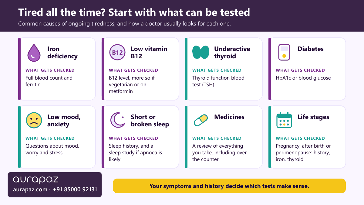 Explainer graphic of eight common causes of ongoing tiredness and what a doctor checks for each: iron deficiency with a full blood count and ferritin, low vitamin B12 with a B12 level, underactive thyroid with a TSH test, diabetes with HbA1c, low mood with questions, short or broken sleep with a sleep history or study, medicines with a review, and life stages such as pregnancy, after birth and perimenopause