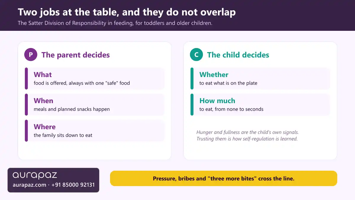 Two panel graphic: the parent decides what food is offered, when meals happen and where the family eats; the child decides whether to eat and how much