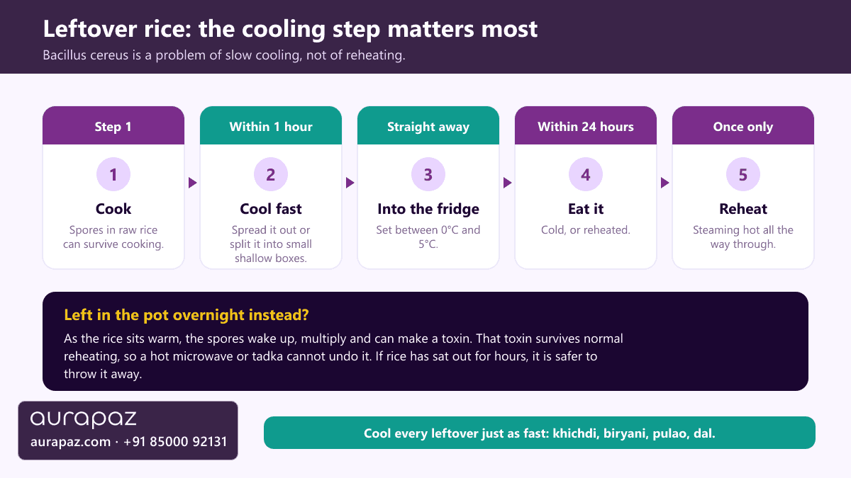Five-step timeline for leftover rice: cook, cool within 1 hour, refrigerate straight away at 0 to 5 degrees, eat within 24 hours, reheat once until steaming hot