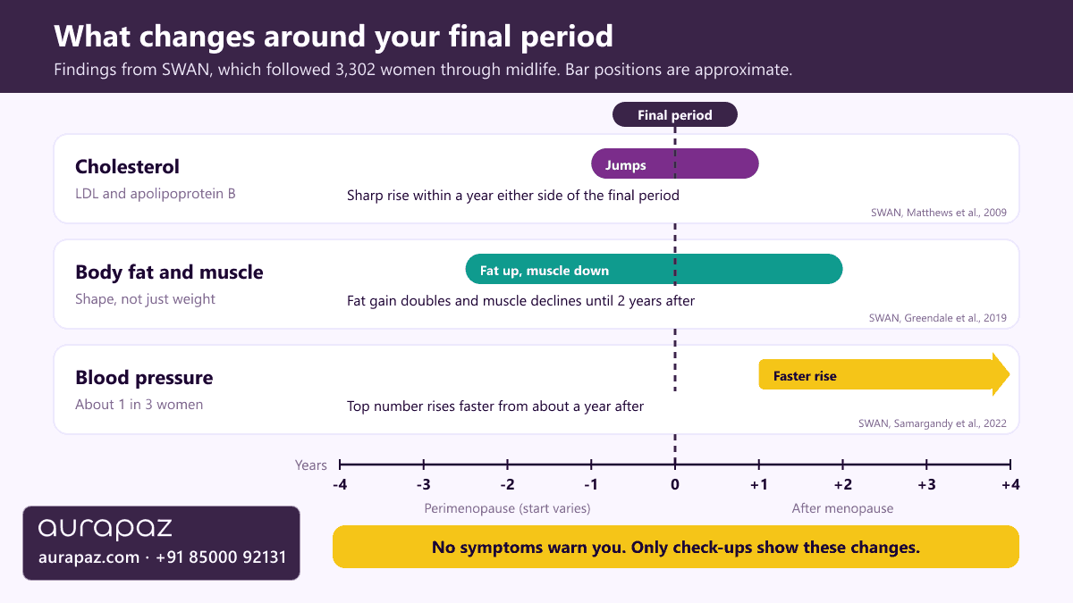 Explainer timeline centred on the final menstrual period showing LDL cholesterol and apolipoprotein B rising sharply within one year either side of it, fat gain doubling and muscle declining from the start of the transition to two years after, and systolic blood pressure rising faster from about one year after menopause in some women